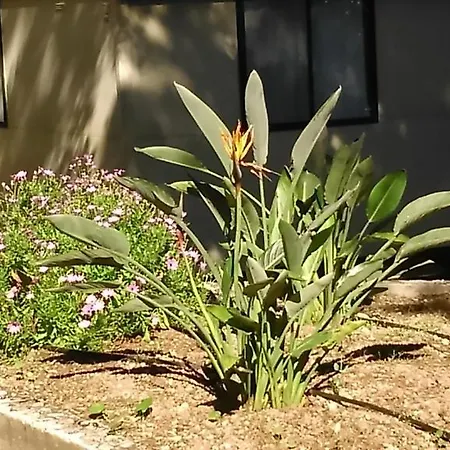 Baia Di Campi Vieste