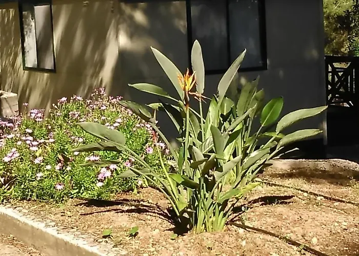 Baia Di Campi Vieste